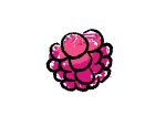 Framboise