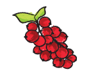 Gadelle (groseilles  grappes)