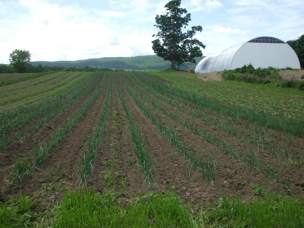 La Ferme Estivale