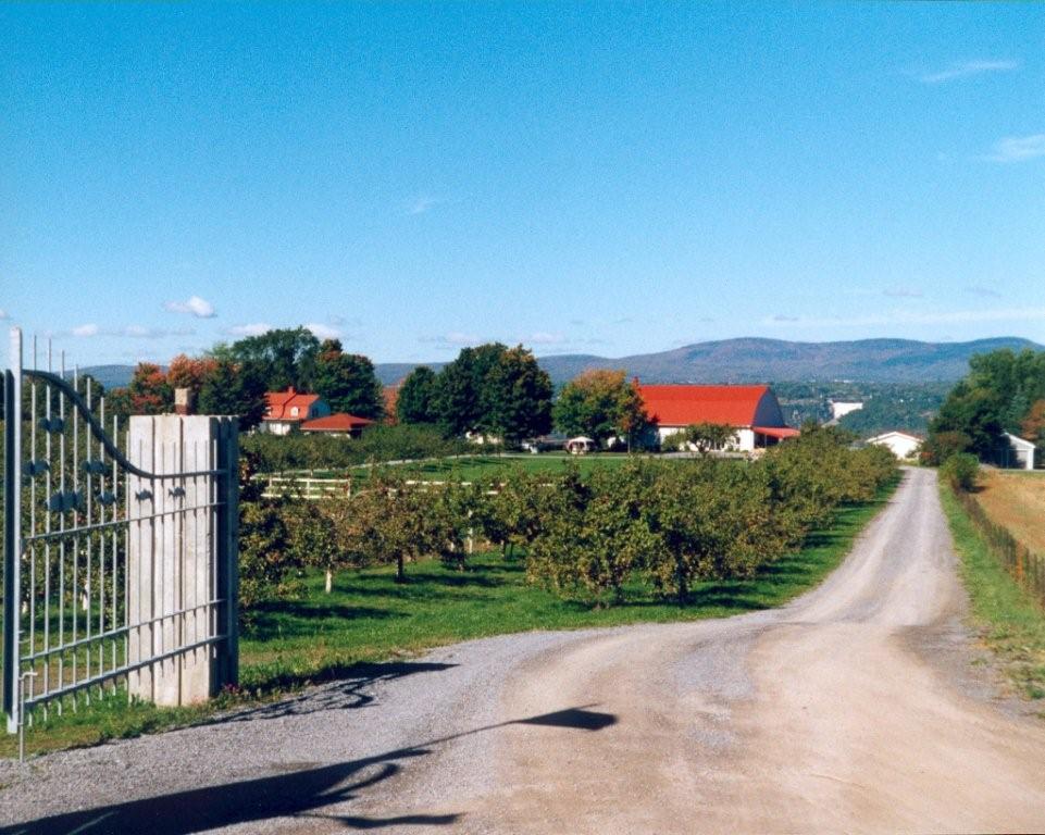 Domaine Orl�ans